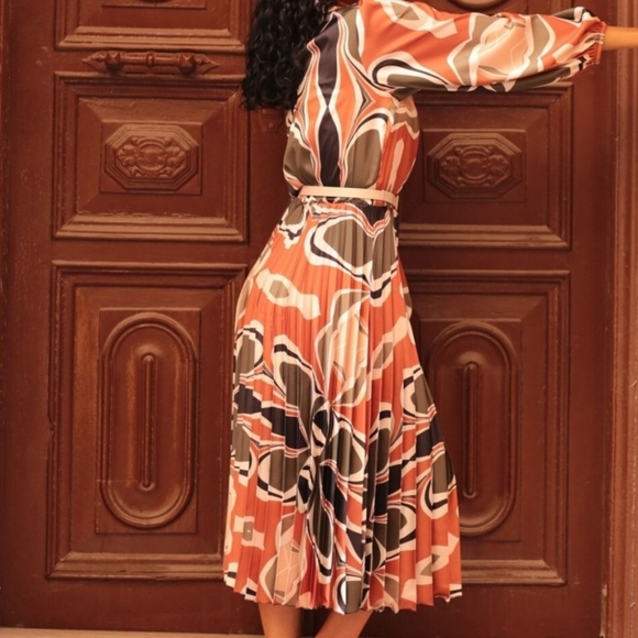 NWT - Classy Dark Olive & Orange Pleated Dress - Picture 7 of 8